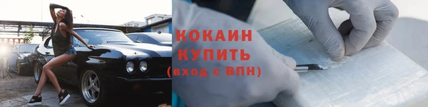 индика Каменка