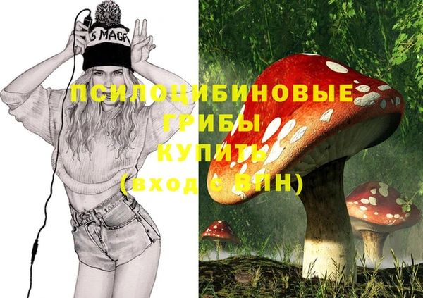 spice Карталы