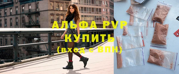 индика Каменка