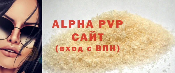 индика Каменка